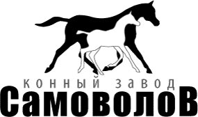 ОБЩЕСТВО С ОГРАНИЧЕННОЙ ОТВЕТСТВЕННОСТЬЮ КОННЫЙ ЗАВОД "САМОВОЛОВ"